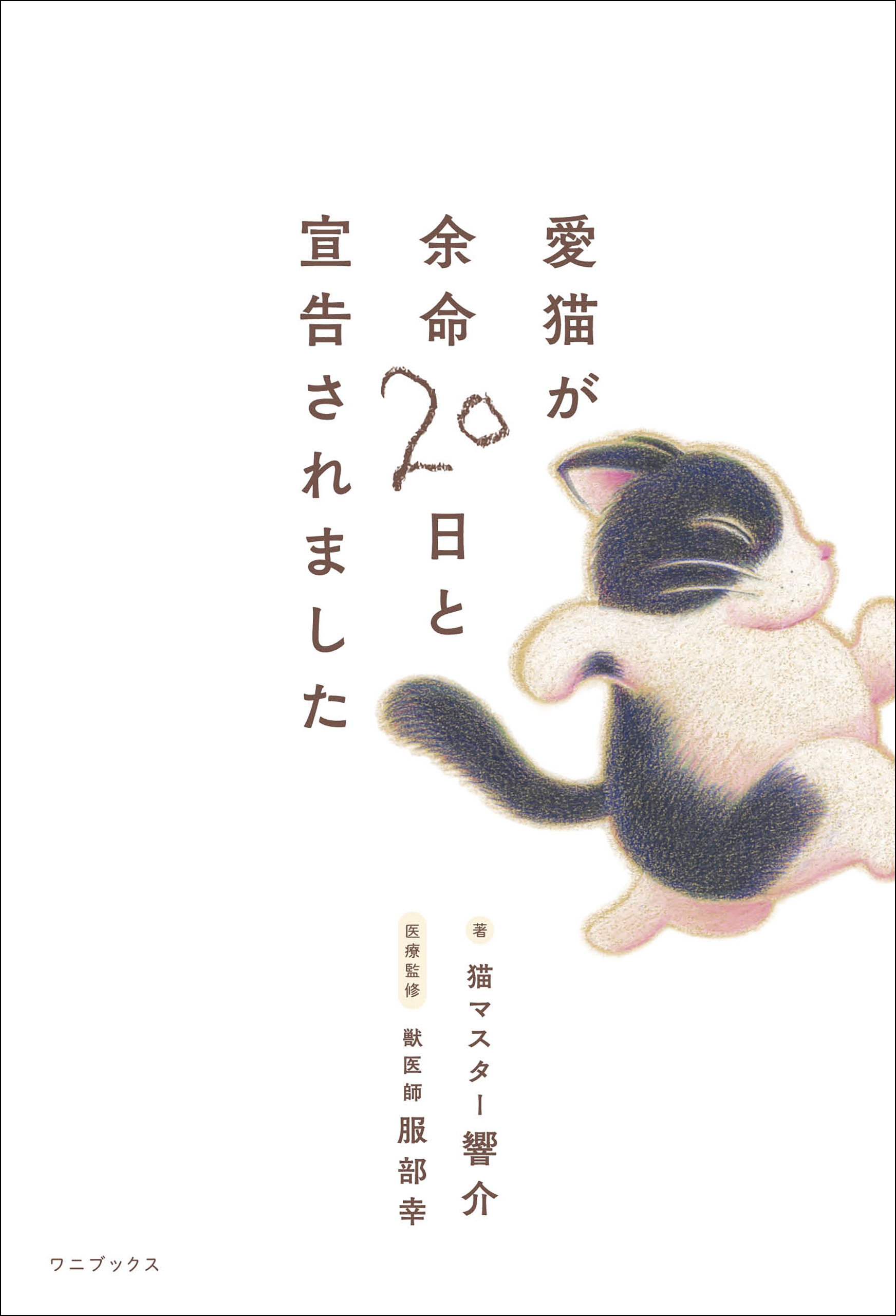 愛猫が余命20日と宣告されました