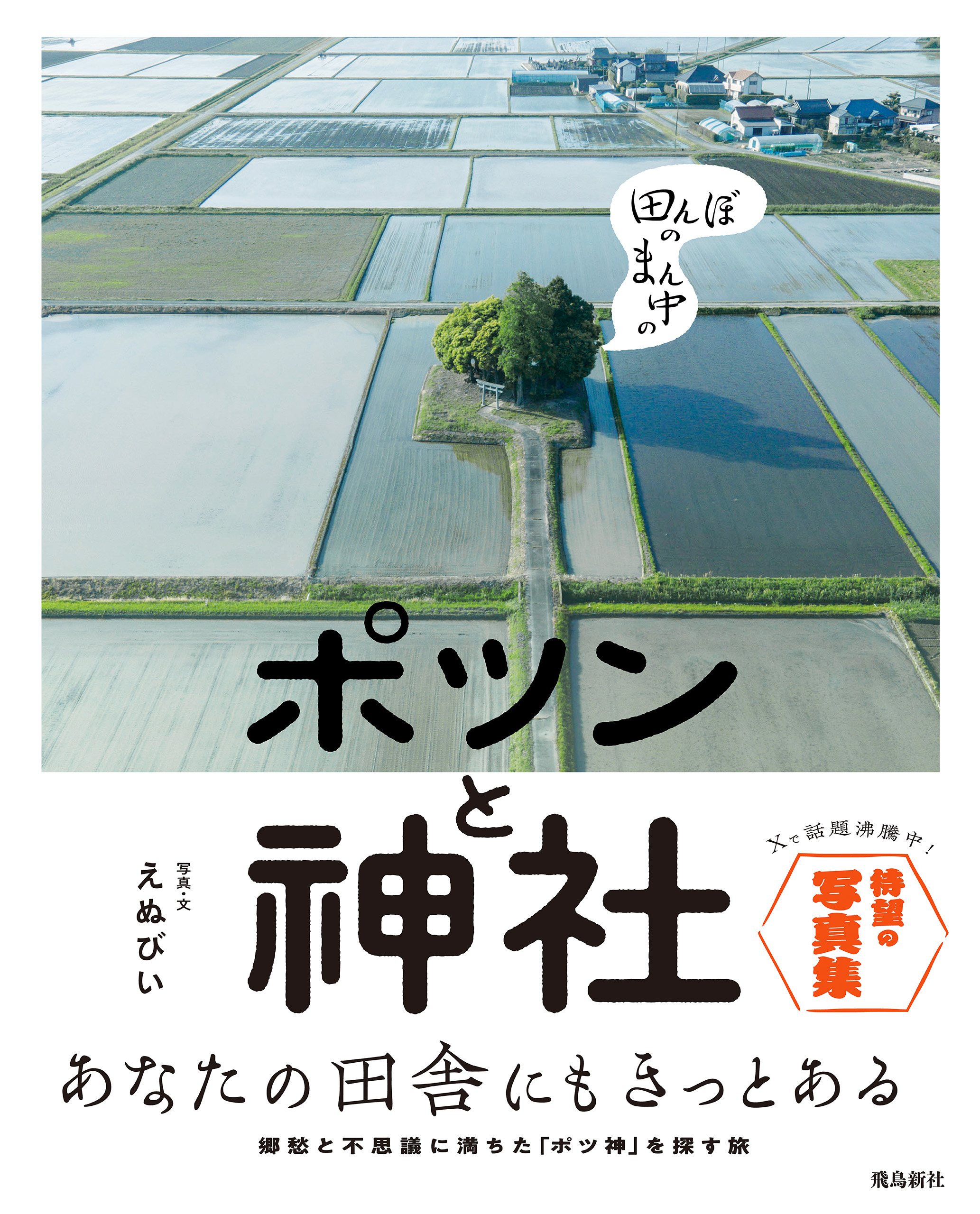 田んぼのまん中のポツンと神社