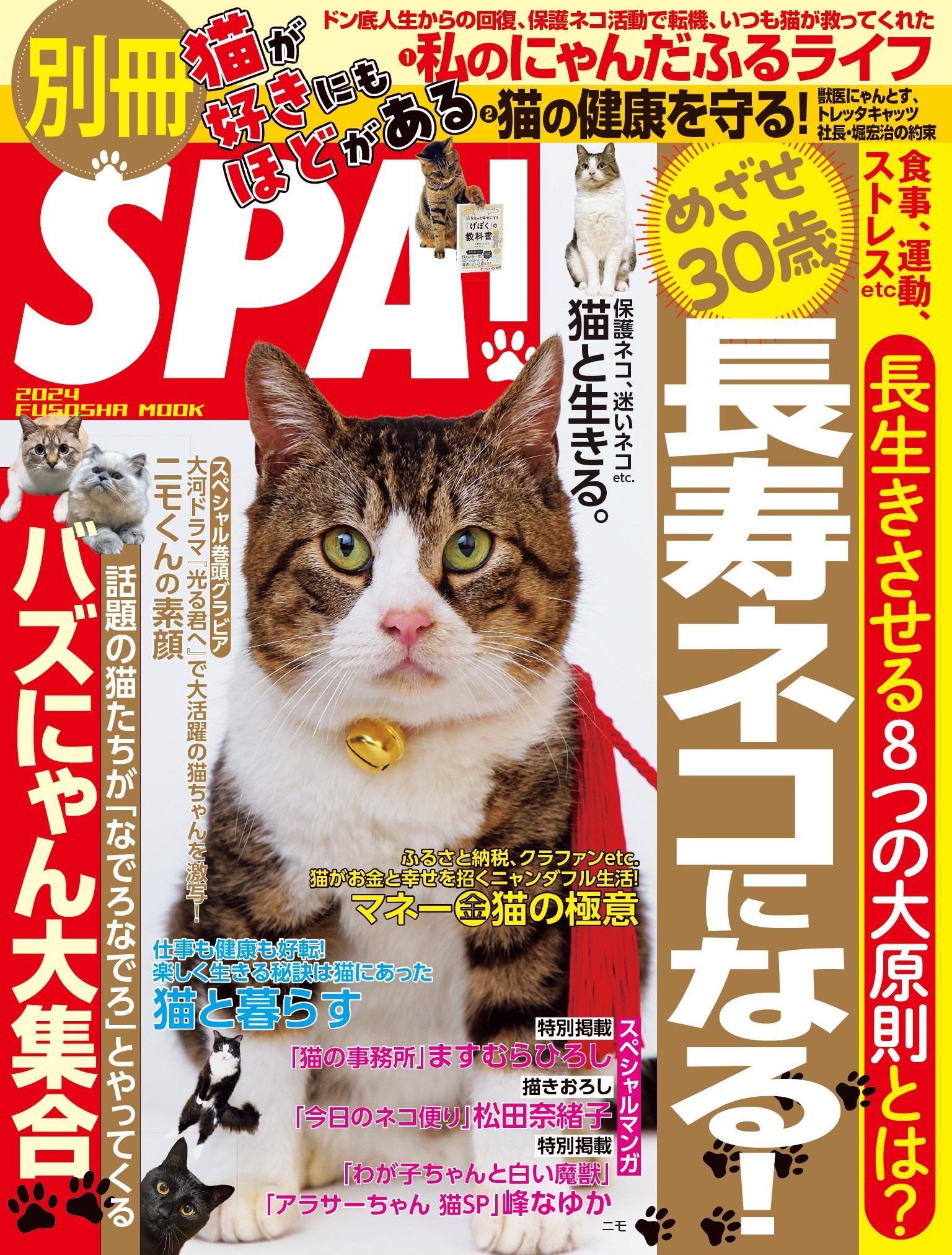 虎猫 おまとめ3冊分 別冊SPA！猫が好きにもほどがある | 扶桑社 | 本とTREE BOOK STORE