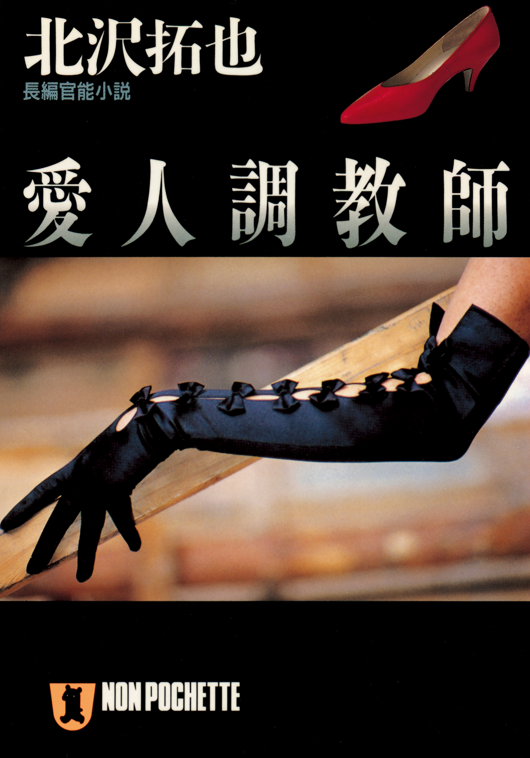 愛人調教師
