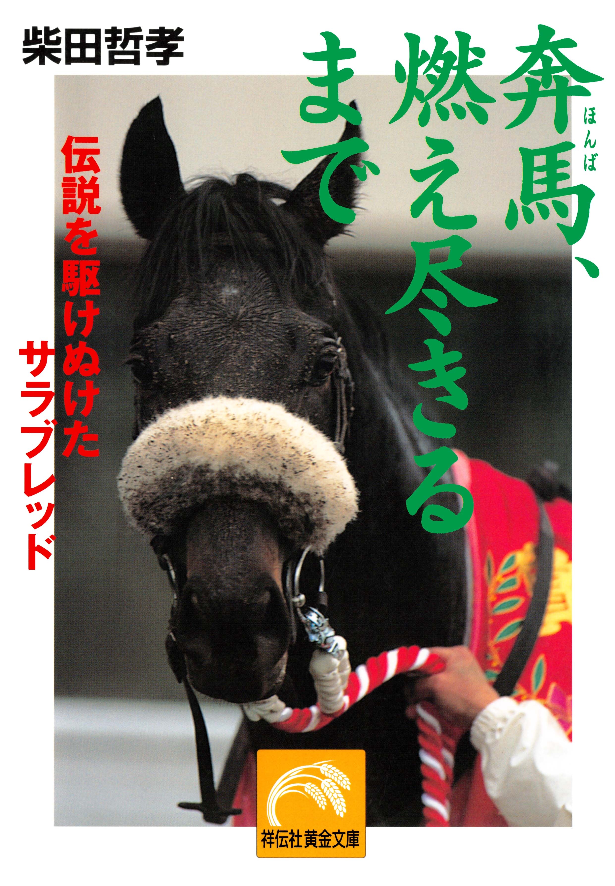 奔馬、燃え尽きるまで