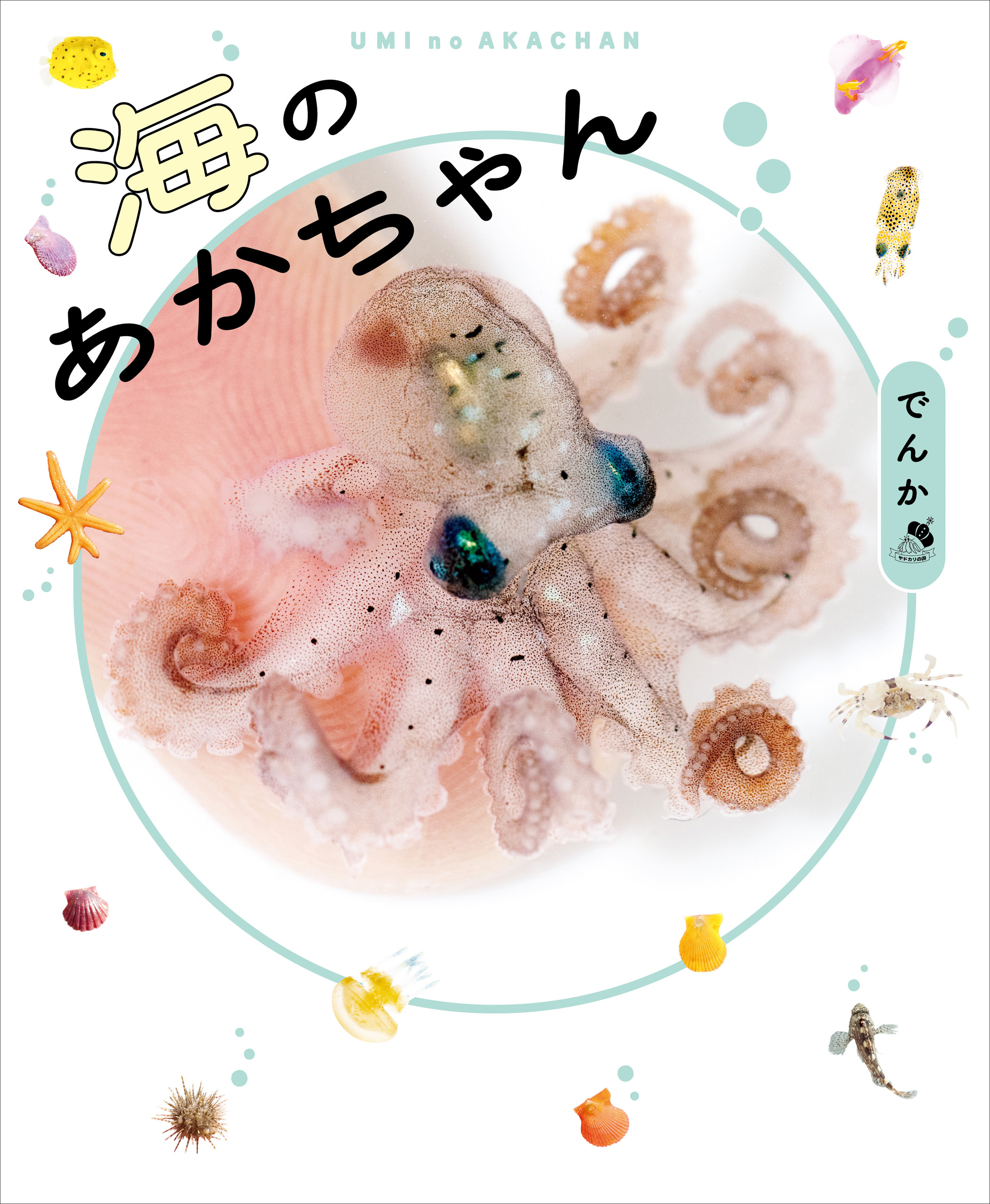海のあかちゃん