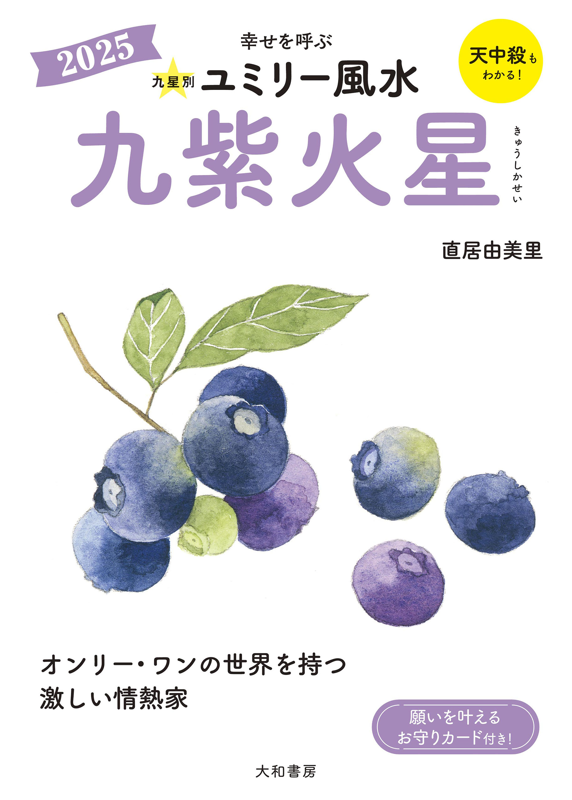 2025九星別ユミリー風水 九紫火星