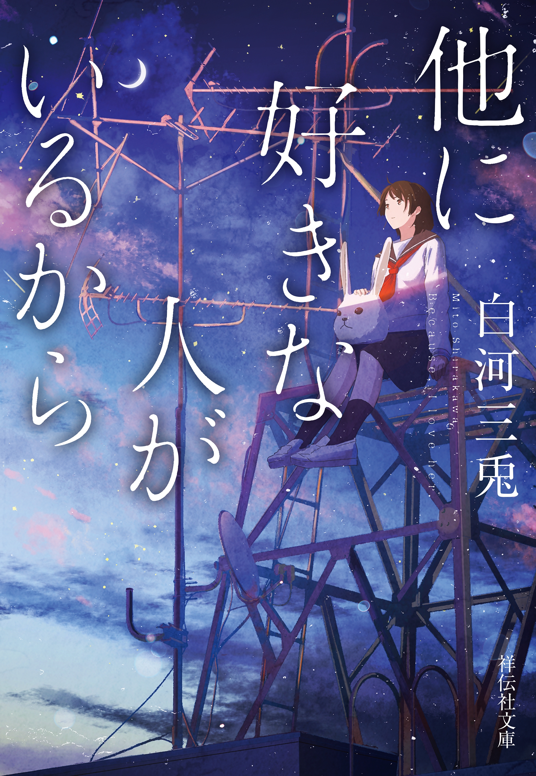 他に好きな人がいるから