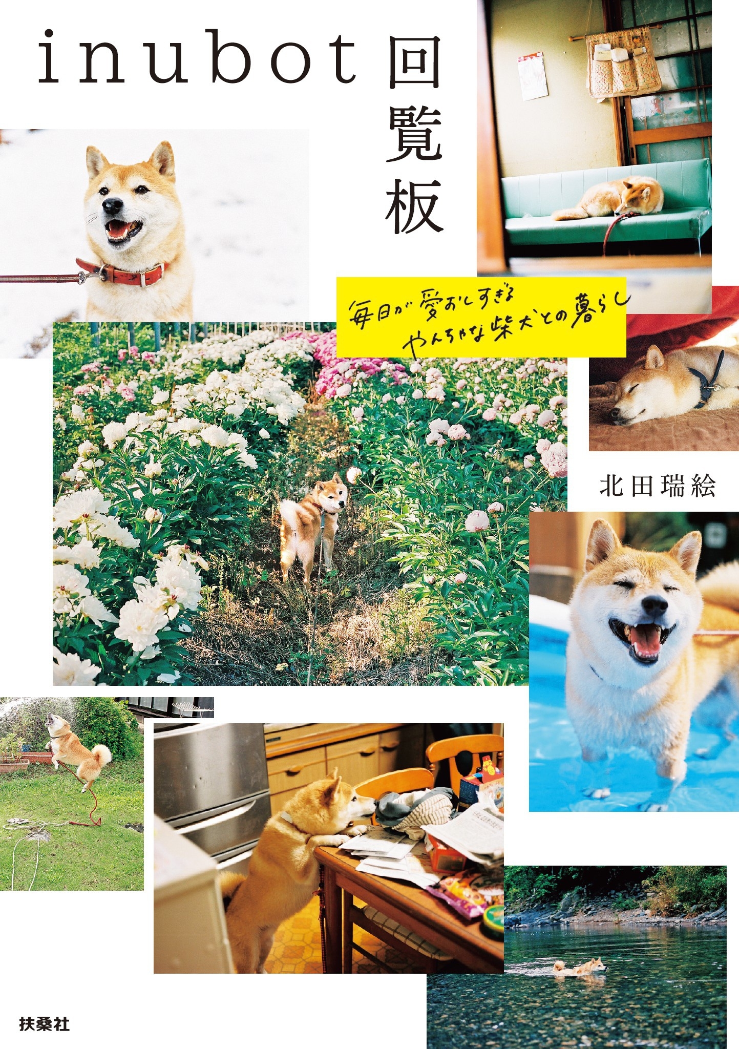 inubot回覧板