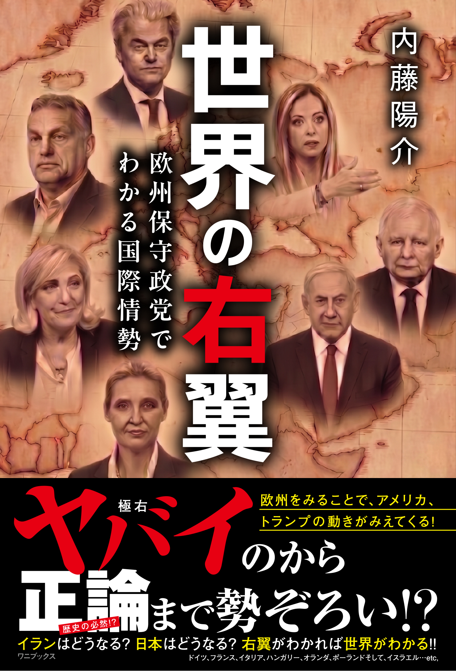 世界の右翼 - 欧州保守政党でわかる国際情勢 -