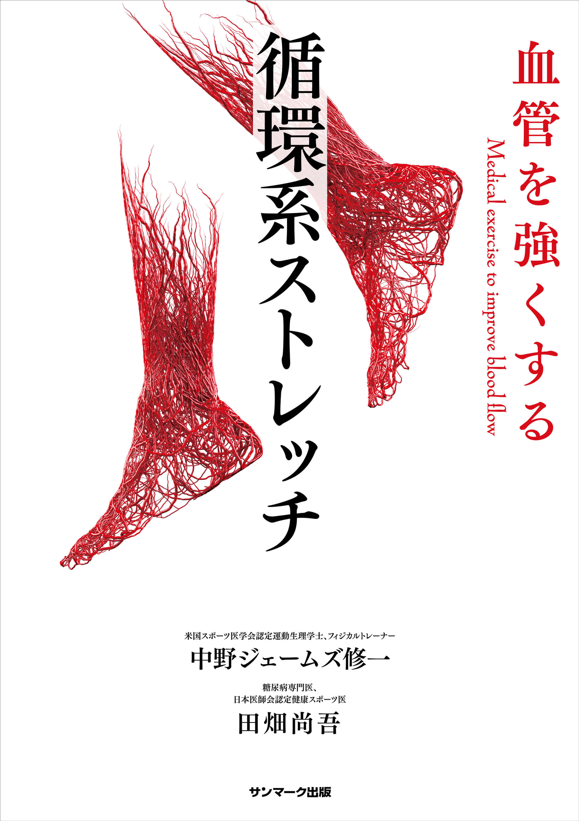 血管を強くする 循環系ストレッチ