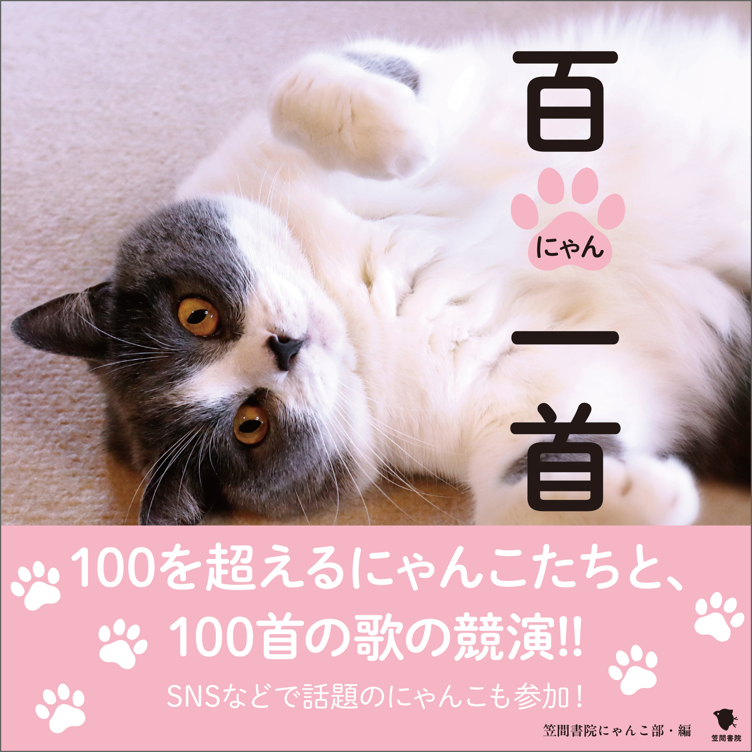 百にゃん一首
