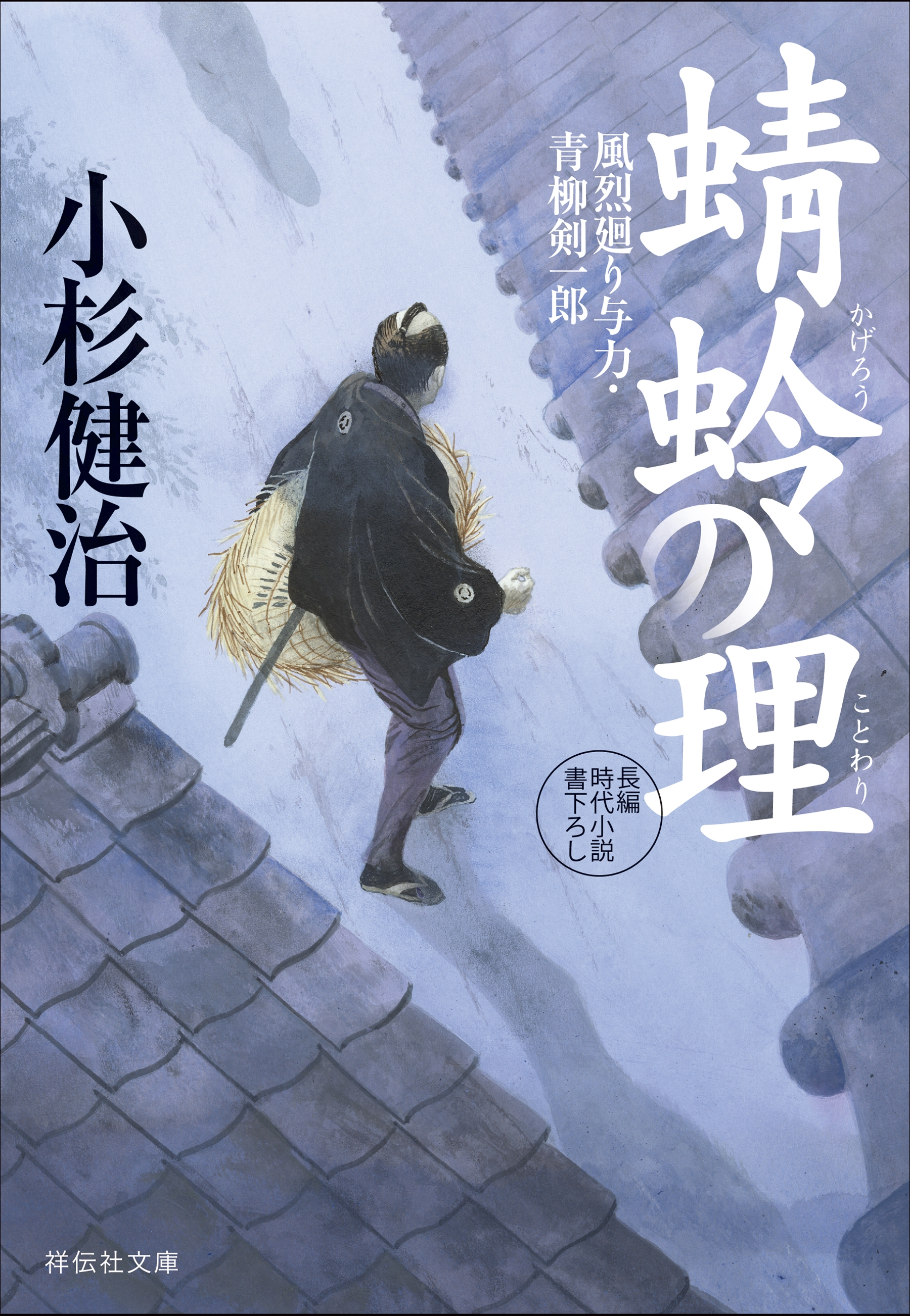 蜻蛉の理　風烈廻り与力・青柳剣一郎［47］