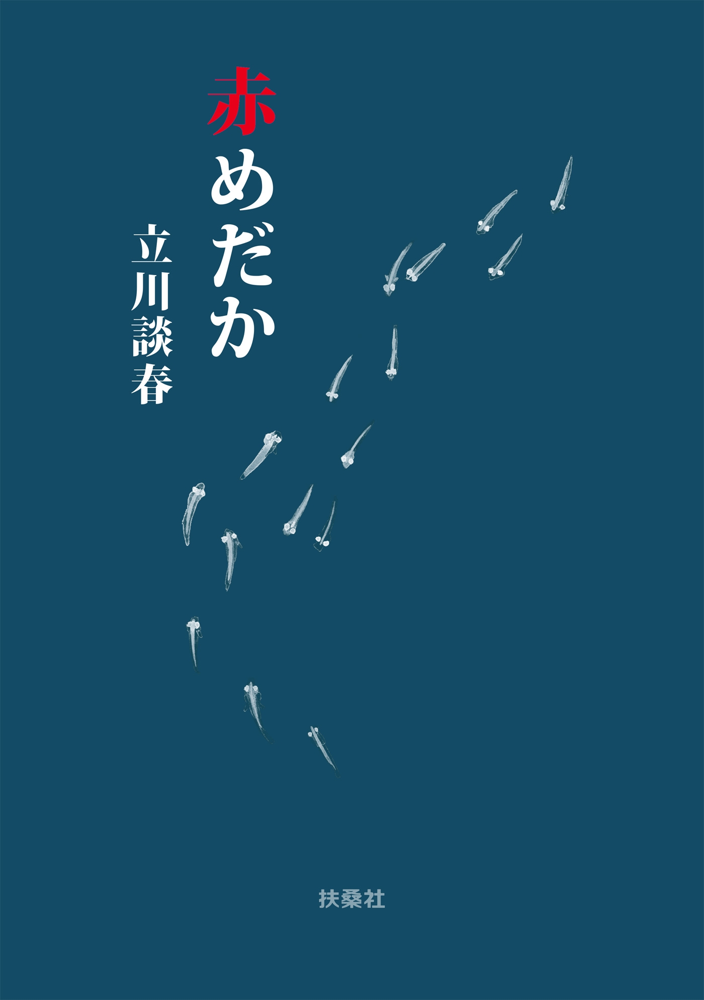 赤めだか