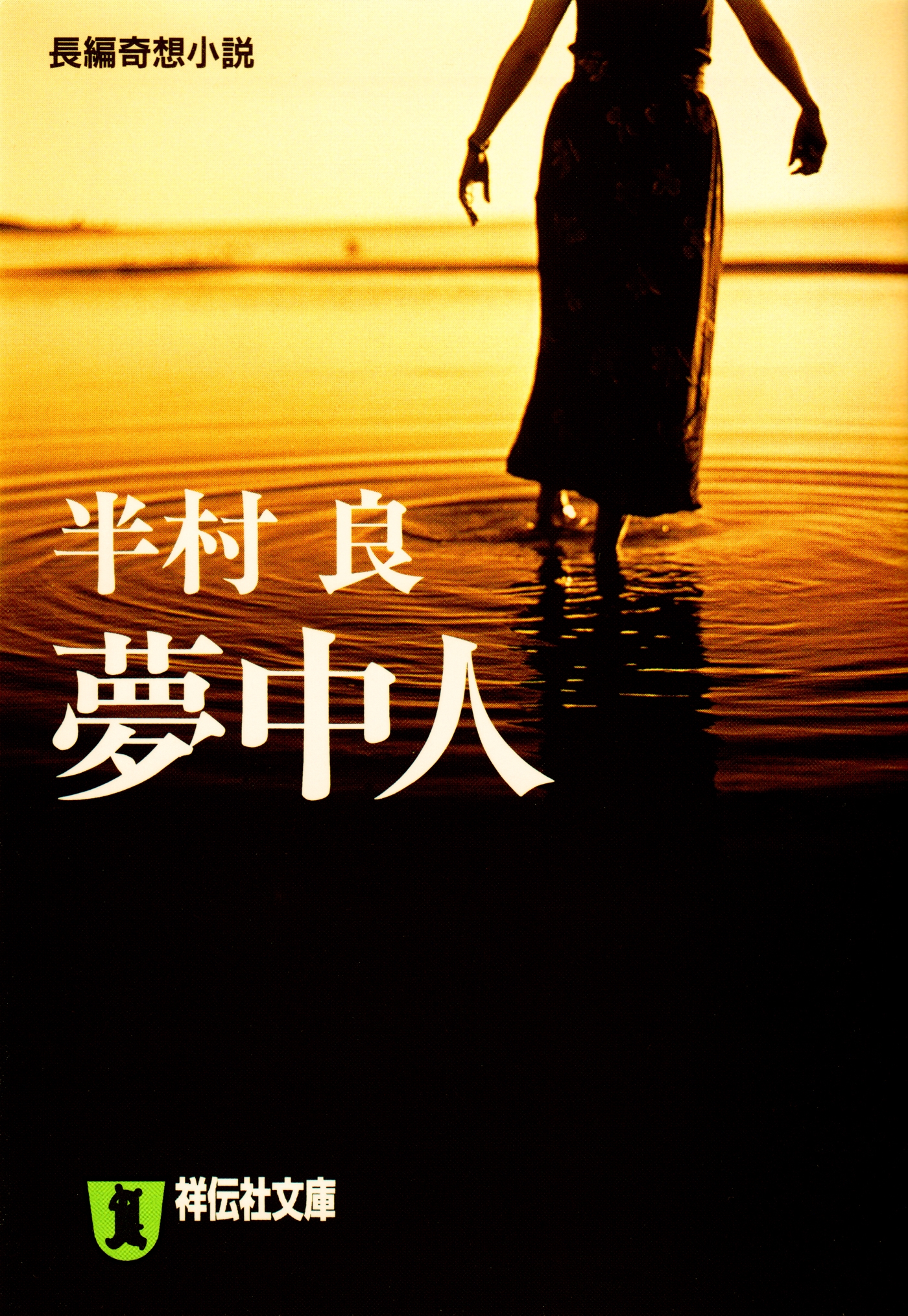 夢中人