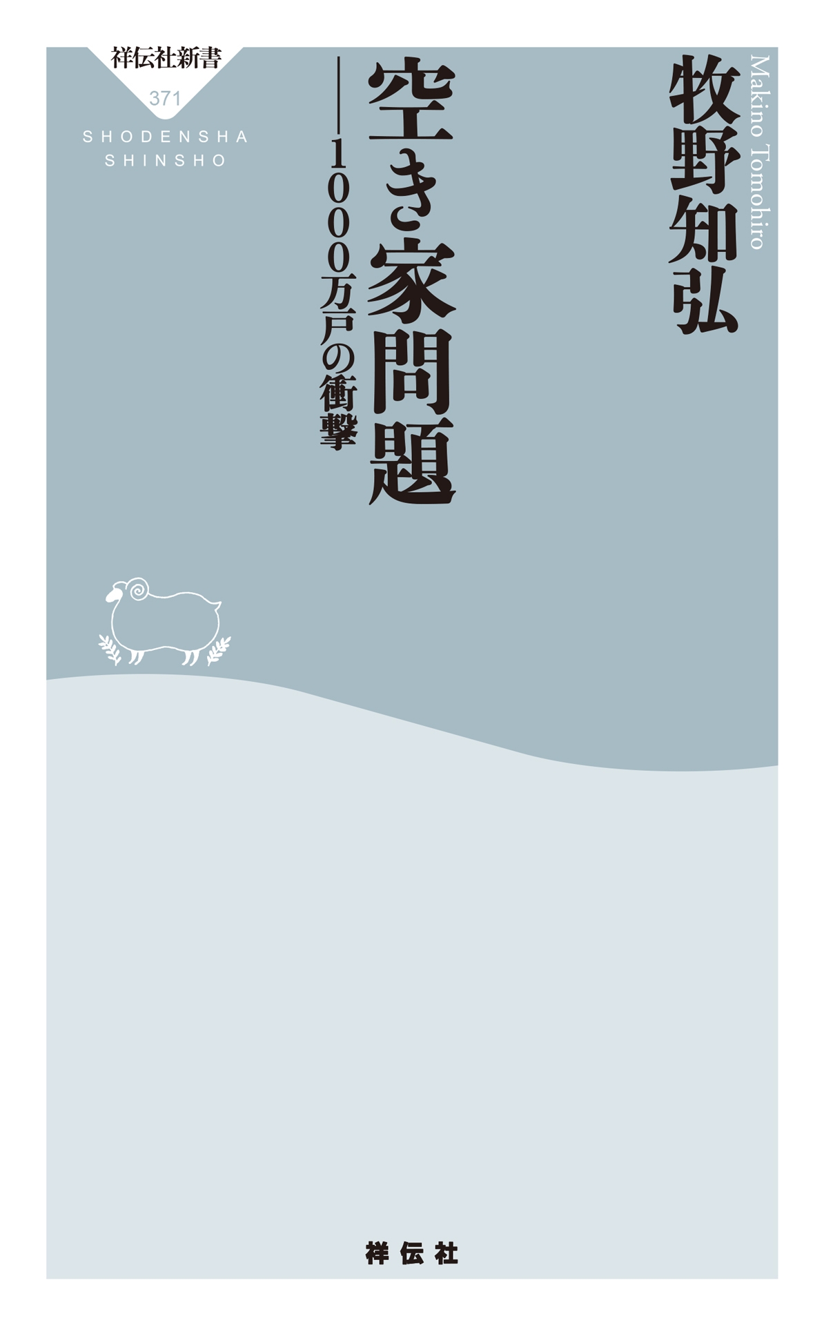 空き家問題