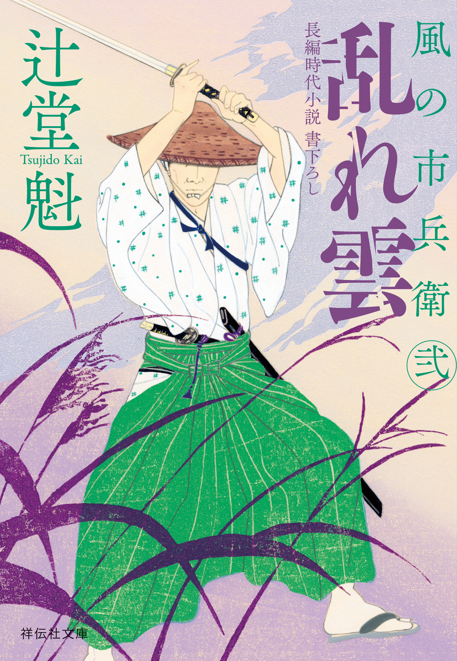 乱れ雲　風の市兵衛　弐［28］