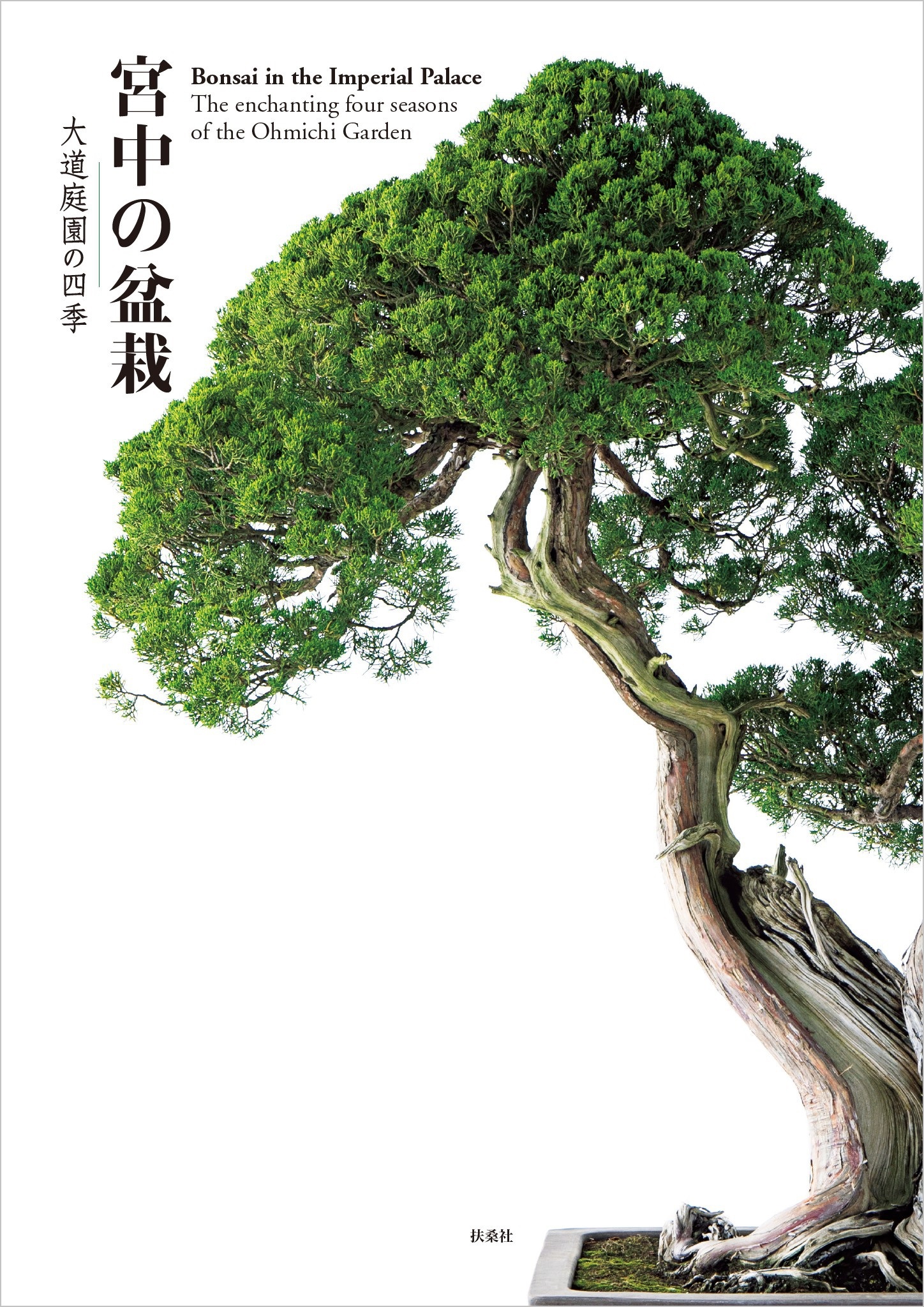 宮中の盆栽－大道庭園の四季