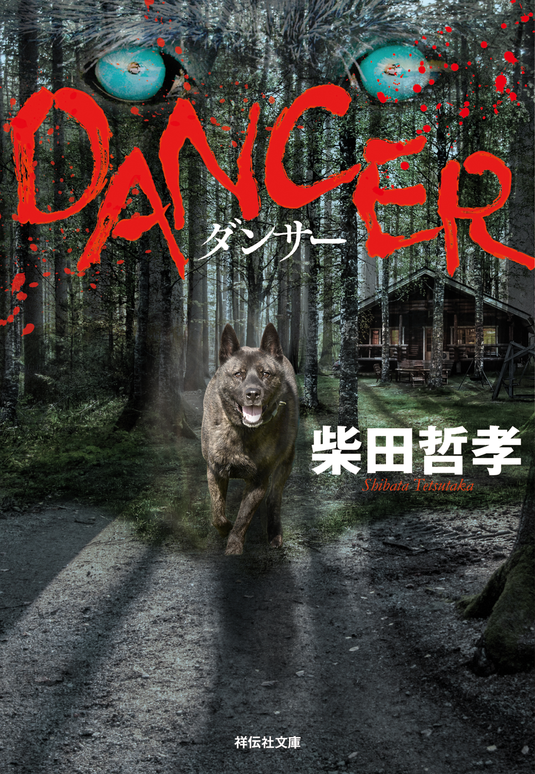 ＤＡＮＣＥＲ