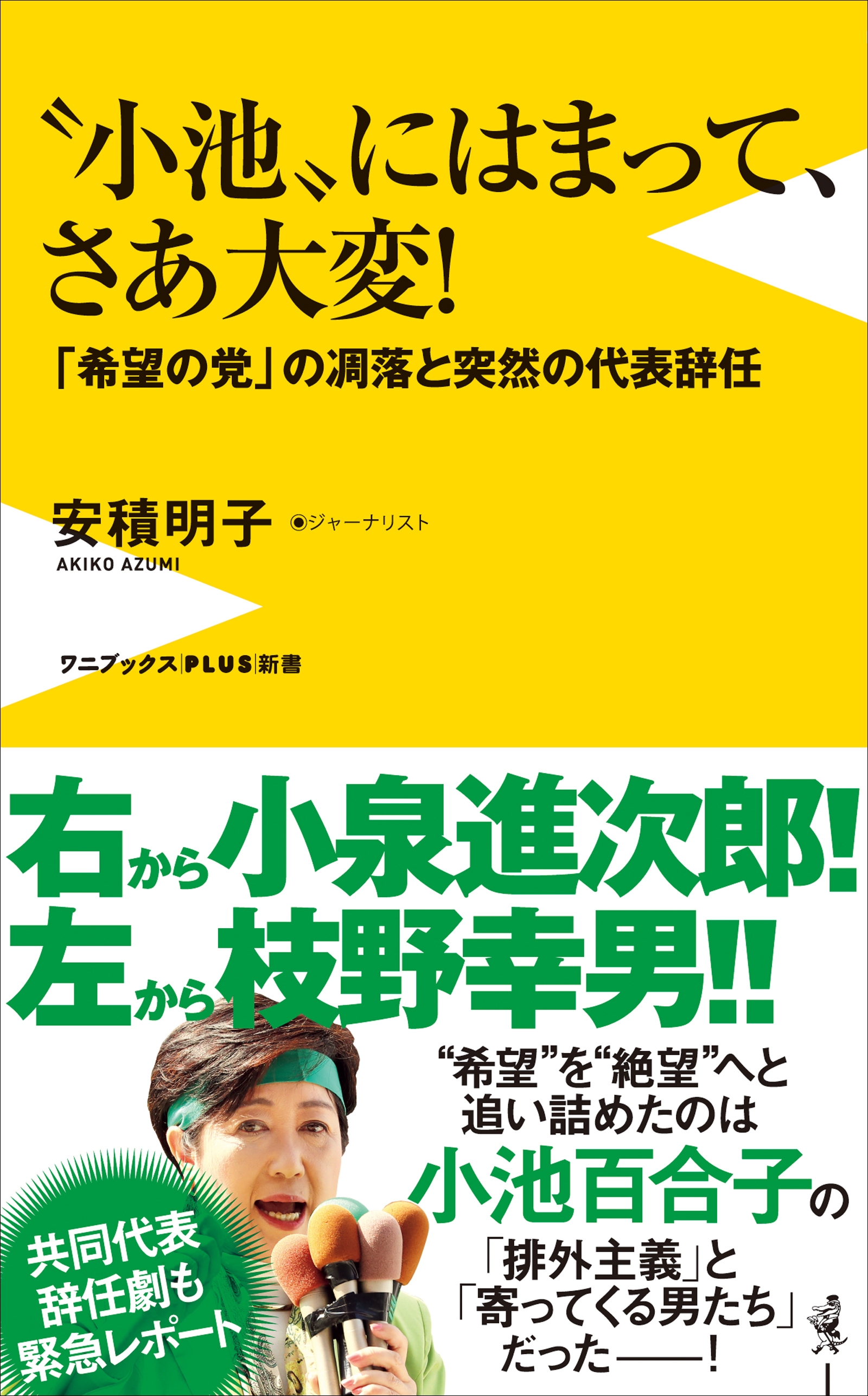“小池”にはまって、さあ大変！ - 「希望の党」の凋落と突然の代表辞任 -