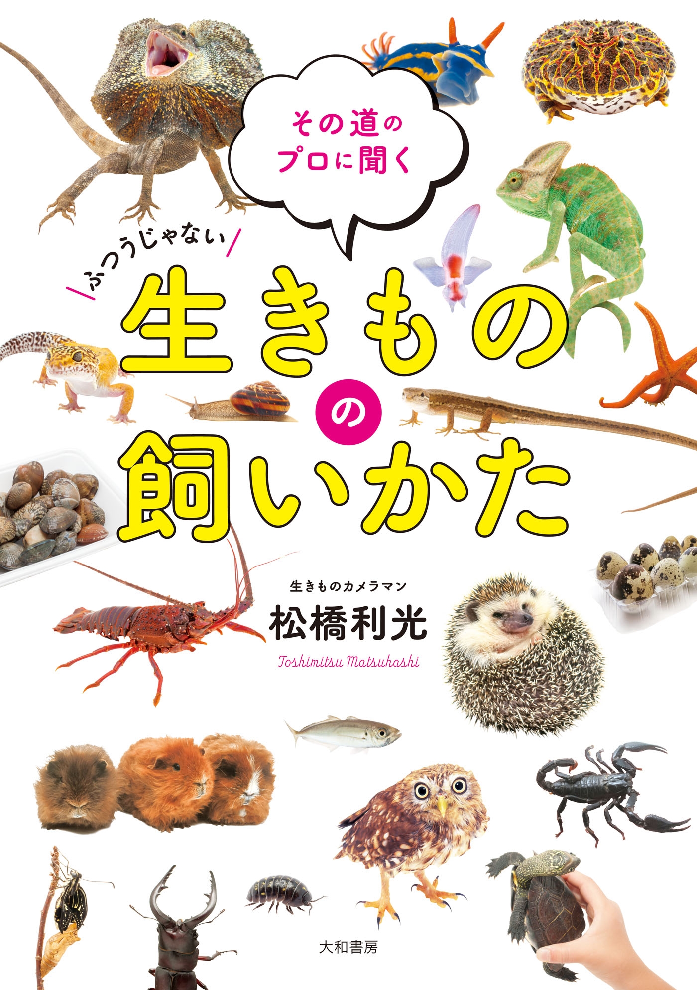 生きものの飼いかた